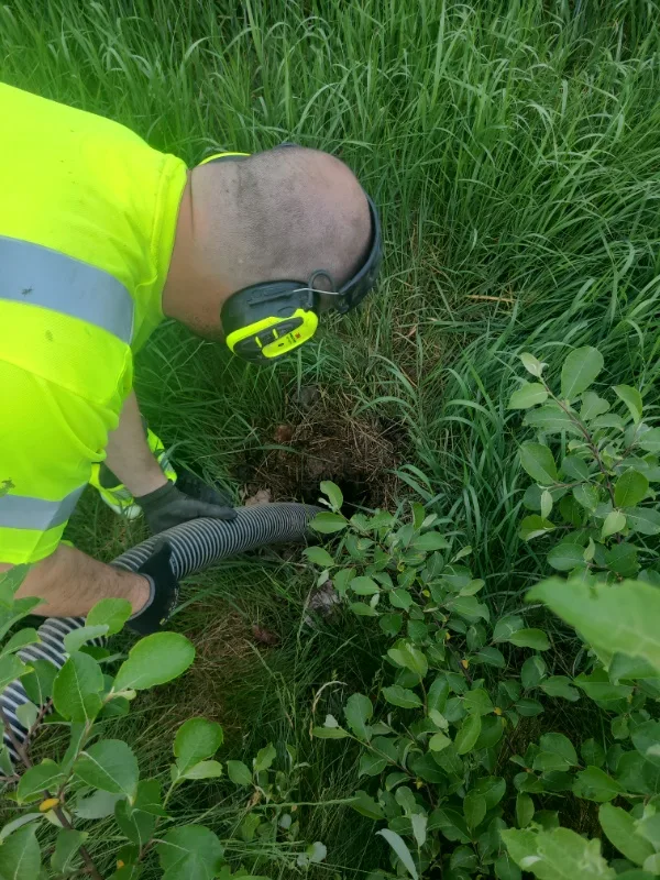 Trädgårdsarbete utförs i hög grönska